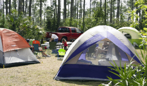 Campgrounds Near Jacksonville FL: RV Parks, Camping