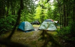 BEST Campgrounds in Tallahassee FL [Campsites & RV Parks]