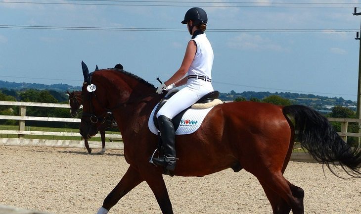 Jacksonville Equestrian Center