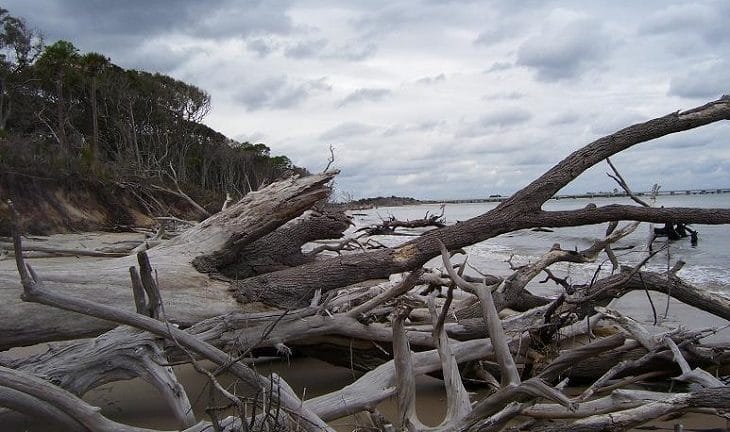 little talbot island camping