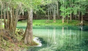 Poe Springs Park Gainesville: Reviews, Map, Hours, Fees