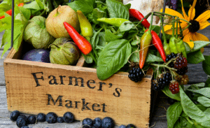 Union Street Farmers Market Reviews, Hours, & Info