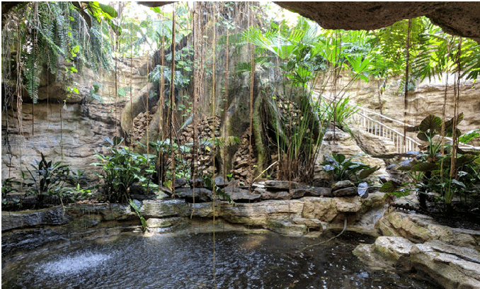 Cockrell Butterfly Center  Houston