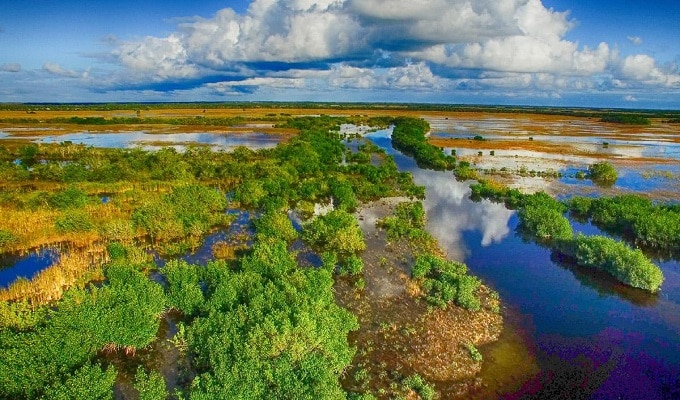 Everglades VIP Tour with Transportation Included