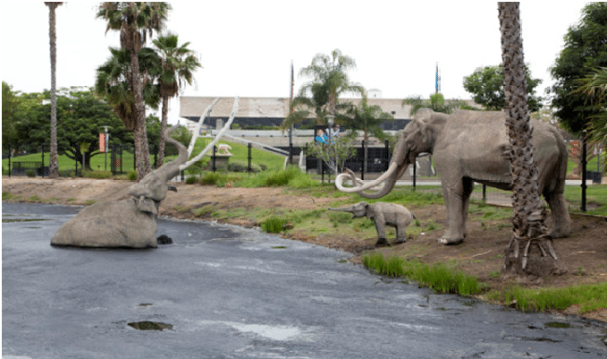 La Brea Tar Pits & Museum los angeles