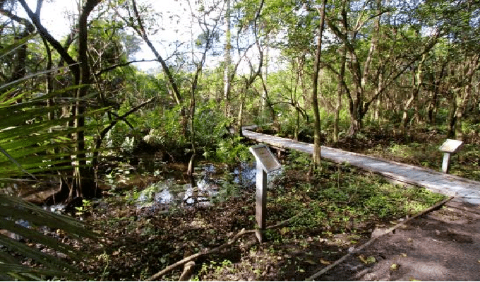 Secret Woods Nature Center Fort Lauderdale