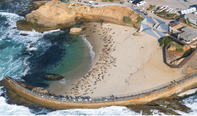 Children's Pool san diego