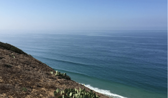 Torrey Pines State Natural Reserve san diego