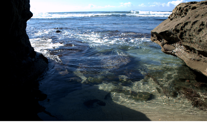 Windansea Beach san diego