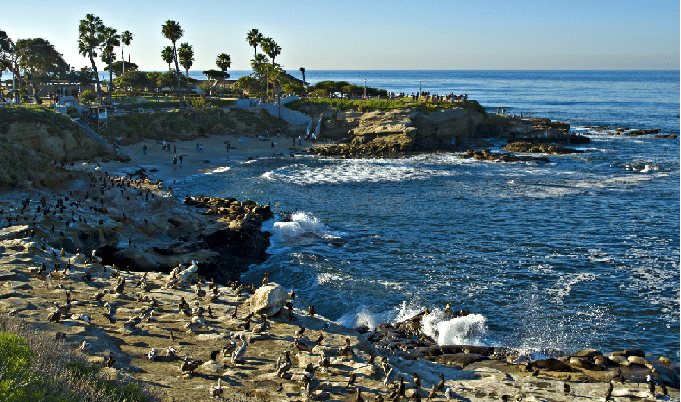 la jolla cove san diego