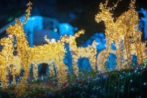 11 BEST Christmas Light Show Displays in New Jersey for 2023